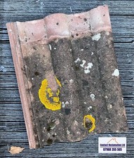 RECLAIMED Redland 50 Concrete