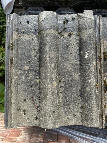 Redland double roman roof - 50,